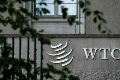 WTO hạ dự báo tăng trưởng thương mại toàn cầu 2023