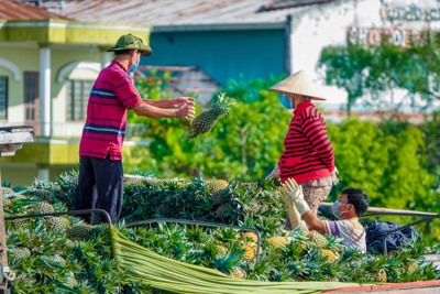 Thực trạng và giải pháp phát triển tín dụng xanh tại đồng bằng sông Cửu Long