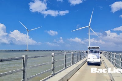 Thúc đẩy vùng Đồng bằng sông Cửu Long phát triển bền vững