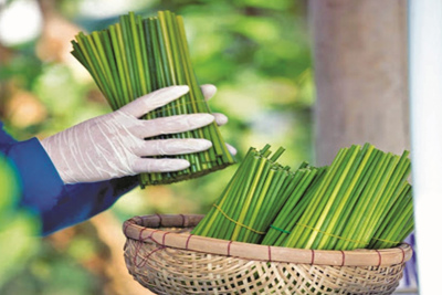 Các yếu tố ảnh hưởng đến hành vi tiêu dùng xanh tại thành phố Thủ Đức