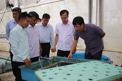 Đồng hành cùng sự phát triển của cộng đồng doanh nghiệp