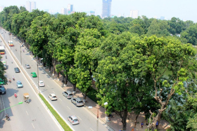 Thực trạng pháp luật Việt Nam trong việc áp dụng hàng rào phi thuế quan liên quan đến bảo vệ môi trường và sức khỏe con người trong thương mại quốc tế