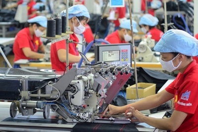 Hỗ trợ nhà đầu tư, doanh nghiệp lĩnh vực công nghiệp hỗ trợ