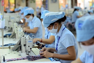 Cổ phiếu dệt may khó 'ấm' trong quý cuối năm?
