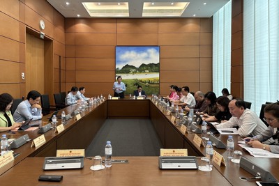 Đang đấu giá tài sản, phát hiện bất thường thì phải làm gì?