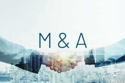 Chiếm thị phần bằng M&A