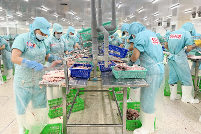 10 tháng đầu năm, tổng kim ngạch xuất khẩu cá tra cả nước đạt 1.434 triệu USD