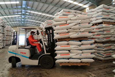 Phát triển sản xuất kinh doanh, tạo việc làm cho người lao động 
