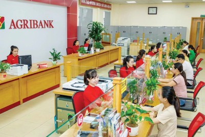 Agribank “phủ sóng” nguồn vốn đến 100% xã, bản trong cả nước