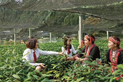 Agribank tiếp tục đẩy vốn rẻ ra nền kinh tế