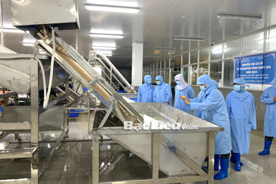 Khuyến công tạo sức bật cho công nghiệp nông thôn Bạc Liêu