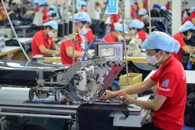 Rà soát, sắp xếp lại ưu đãi thuế nhằm tạo chuyển biến trong phân bổ nguồn lực Rà soát, sắp xếp lại ưu đãi thuế nhằm tạo chuyển biến trong phân bổ nguồn lực