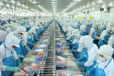 Đặc biệt lưu ý mối quan hệ giữ ISO 9001 và ISO 22000