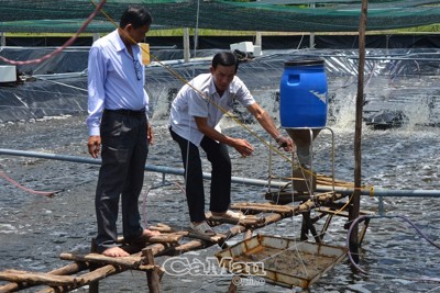 Hoàn thiện thể chế để thúc đẩy kinh tế tập thể phát triển 