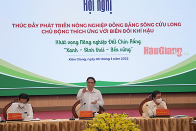Đẩy mạnh phát triển vùng đồng bằng sông Cửu Long nhanh và bền vững