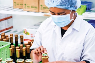 Kết nối, huy động nguồn lực hỗ trợ khởi nghiệp vùng Đồng bằng sông Cửu Long