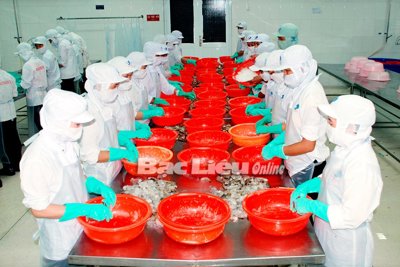 Chế biến, xuất khẩu thủy sản: Tín hiệu vui từ các gói hỗ trợ phục hồi kinh tế của Chính phủ