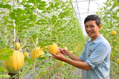 Lợi ích kép từ phát triển du lịch nông thôn gắn với nông thôn mới