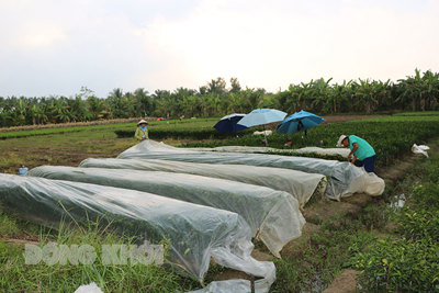 Tốc độ tăng trưởng kinh tế quý I/2022 ước đạt 6%