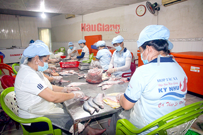 Tìm hướng giải cơn “khát” vốn vay cho hợp tác xã
