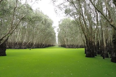 Du lịch nhiều địa phương khởi sắc trong dịp Tết Nhâm Dần