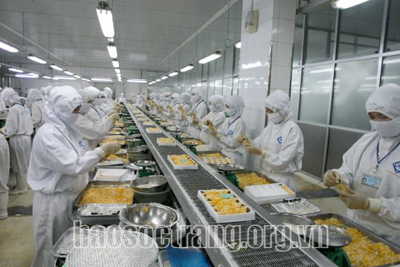Lợi thế và cơ hội xuất khẩu tôm của Việt Nam