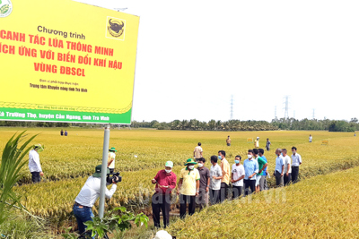 Phát huy nội lực các tổ chức kinh tế tập thể