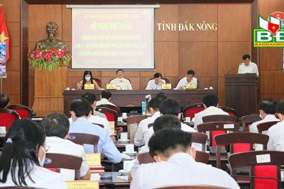 Tập trung xử lý đất dôi dư, tránh lãng phí tài sản công