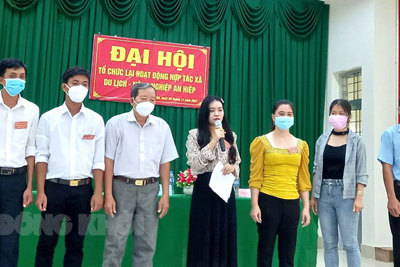 Tập trung phát triển các loại hình kinh tế tập thể