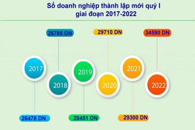Tình hình đăng ký kinh doanh trong quý I/2022