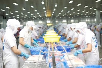 Hoạt động sản xuất, kinh doanh phục hồi và lấy lại đà tăng trưởng