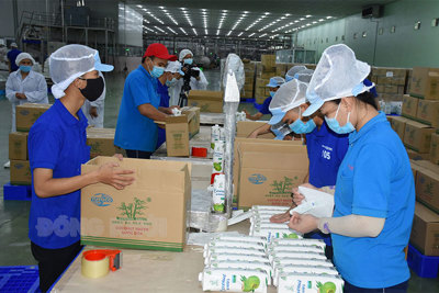 Công nghiệp, xuất khẩu tăng trưởng khả quan
