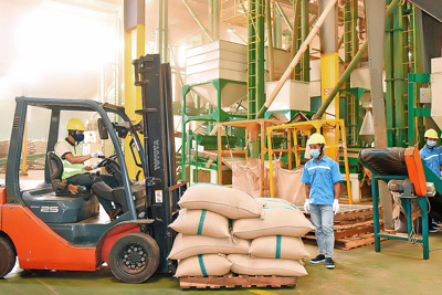 Tình hình đăng ký doanh nghiệp trong tháng 6/2022