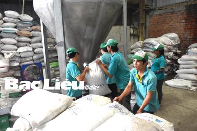 Bạc Liêu phát triển mạnh công nghiệp và thương mại nông thôn