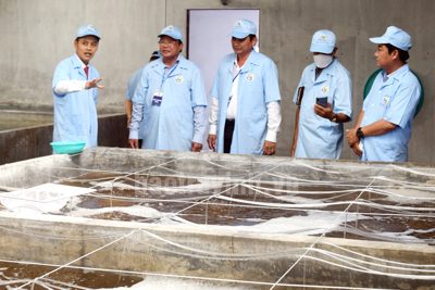 Ngành thủy sản Trà Vinh kỳ vọng vào kết quả xúc tiến đầu tư