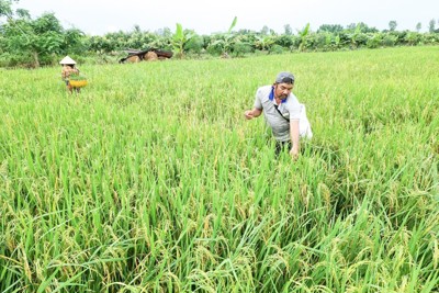 Cần “trợ lực” cho nông dân