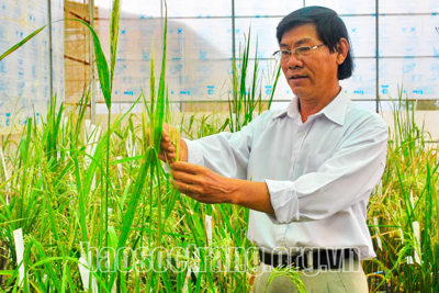 Tam nông luôn là vấn đề chiến lược