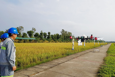 An Giang hướng đến nông nghiệp bền vững