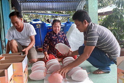 Hậu Giang nỗ lực xây dựng thương hiệu OCOP