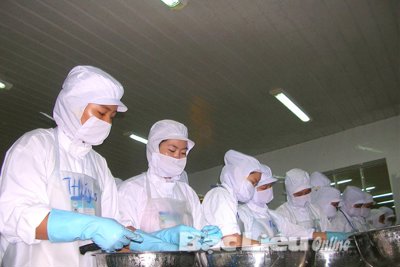Bạc Liêu đẩy mạnh công tác xử lý và thu nợ tiền bảo hiểm
