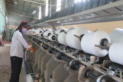 Trên 1,4 tỉ đồng hỗ trợ cơ sở công nghiệp nông thôn chuyển đổi công nghệ 