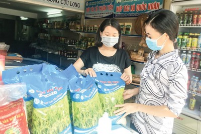 Cần Thơ tăng nguồn lực hỗ trợ hợp tác xã
