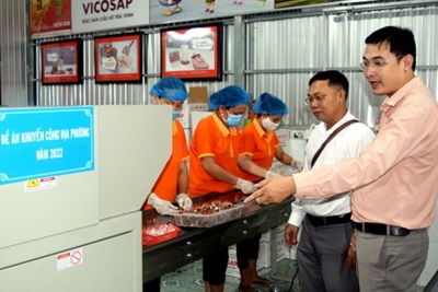 Kinh tế tư nhân - Đóng góp tích cực cho tăng trưởng của tỉnh Trà Vinh