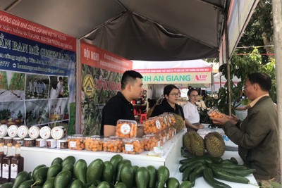 “Trợ lực” thúc đẩy tiêu thụ và xuất khẩu hàng hóa