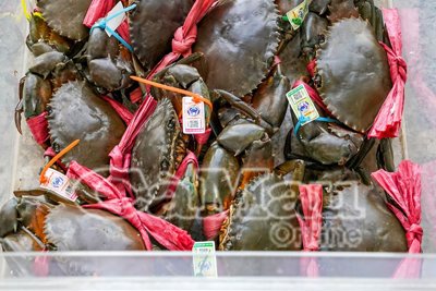 Liên kết chuỗi trong sản xuất nông nghiệp