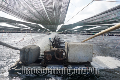 Sẻ chia mùa dịch Covid-19