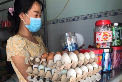 Bình Dương đã có gần 10.000 lao động tự do nhận hỗ trợ theo Nghị quyết 68 của Chính phủ