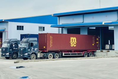 Tập trung tháo gỡ khó khăn, hỗ trợ xuất nhập khẩu trong dịch bệnh