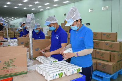 Doanh nghiệp chế biến nông sản xuất khẩu ổn định