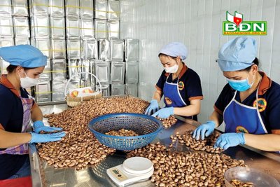 Doanh nghiệp mở rộng xuất khẩu từ Hiệp định FTA